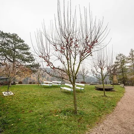 Hradu Penzion Svojanov (Pardubice)